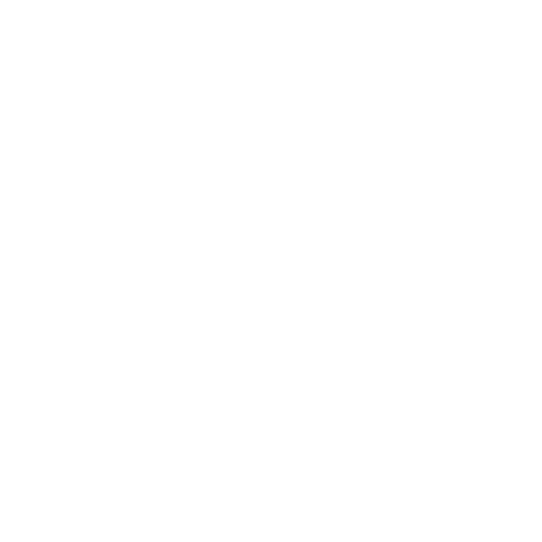 logo flaska